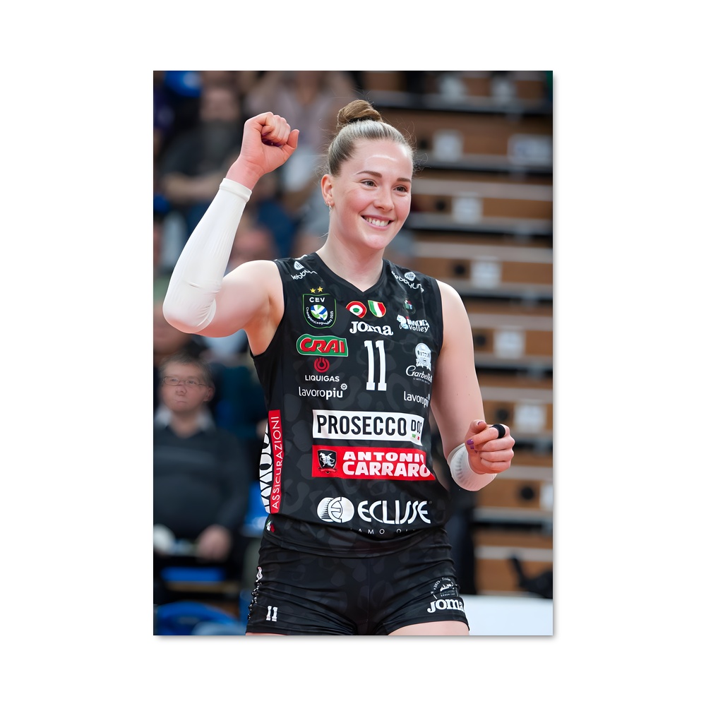 Poster Isabelle haak